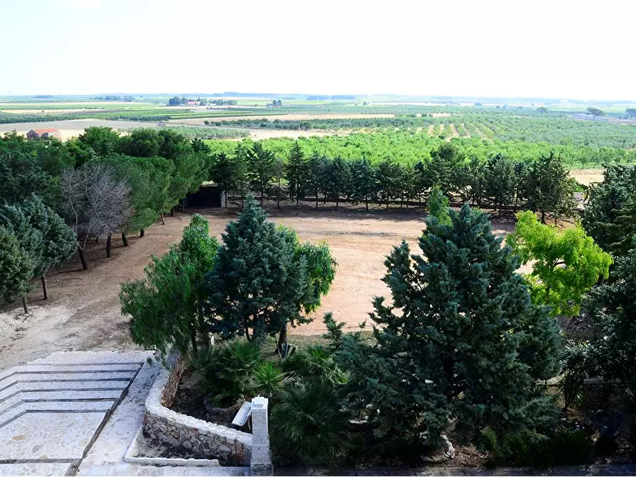 Immagine 4 di Rustico / casale in vendita  a Bitonto