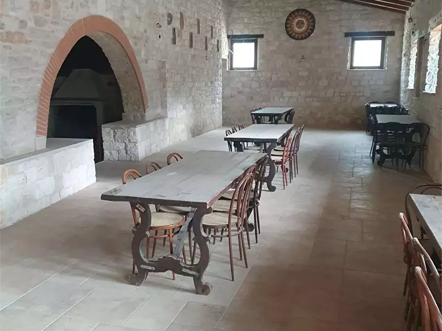 Immagine 9 di Rustico / casale in vendita  a Bitonto