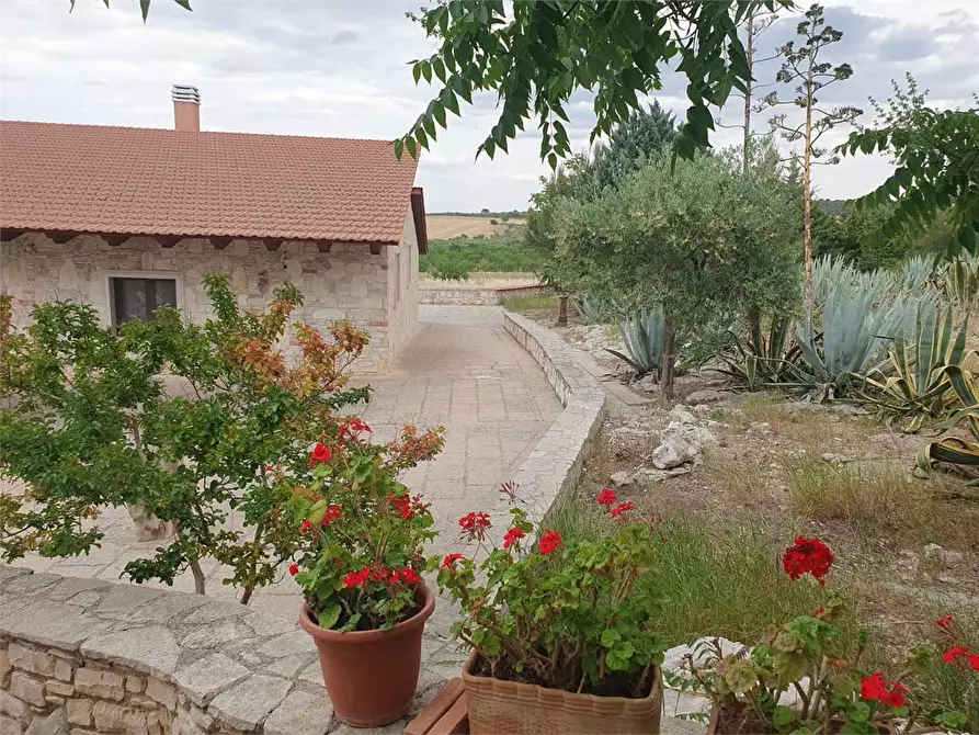 Immagine 29 di Rustico / casale in vendita  a Bitonto