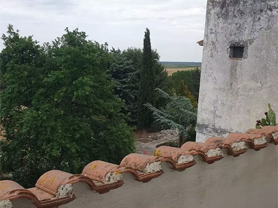 Immagine 33 di Rustico / casale in vendita  a Bitonto