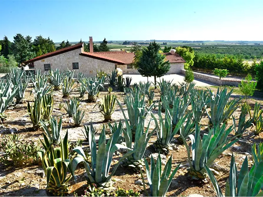 Immagine 56 di Rustico / casale in vendita  a Bitonto
