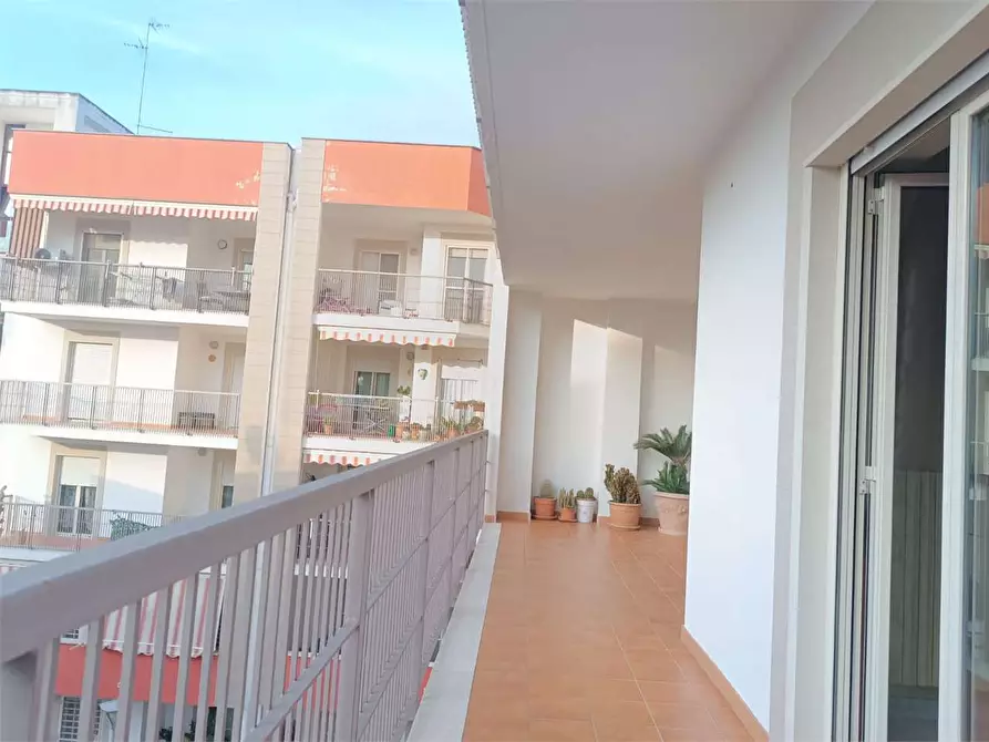 Immagine 44 di Appartamento in vendita  a Bitonto