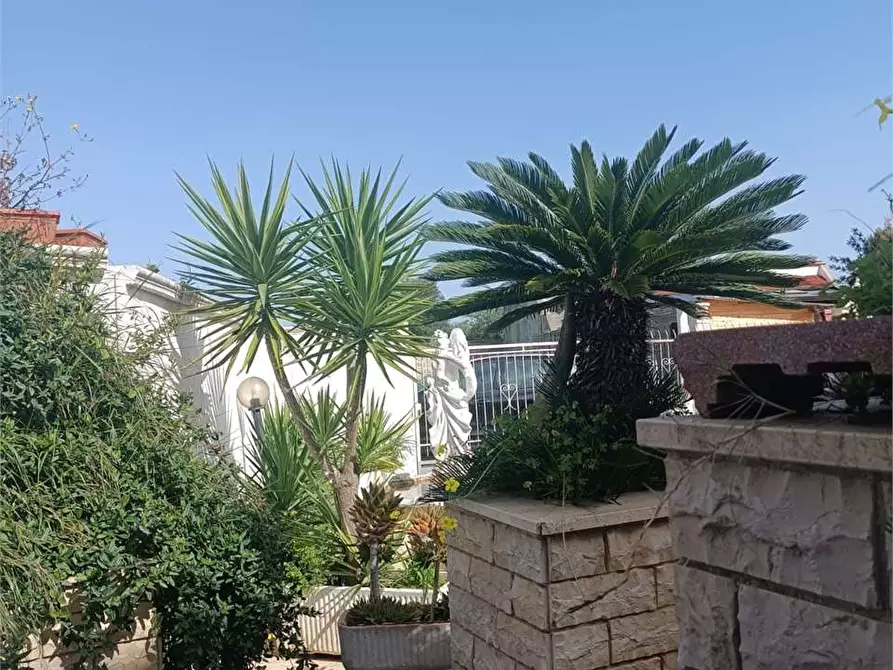 Immagine 39 di Trilocale in vendita  a Bitonto