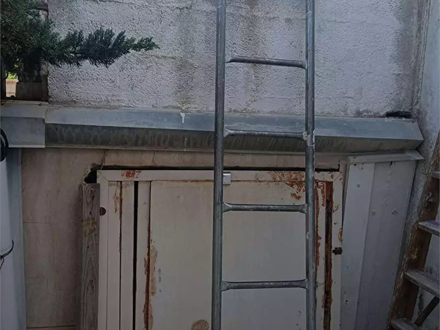 Immagine 40 di Trilocale in vendita  a Bitonto