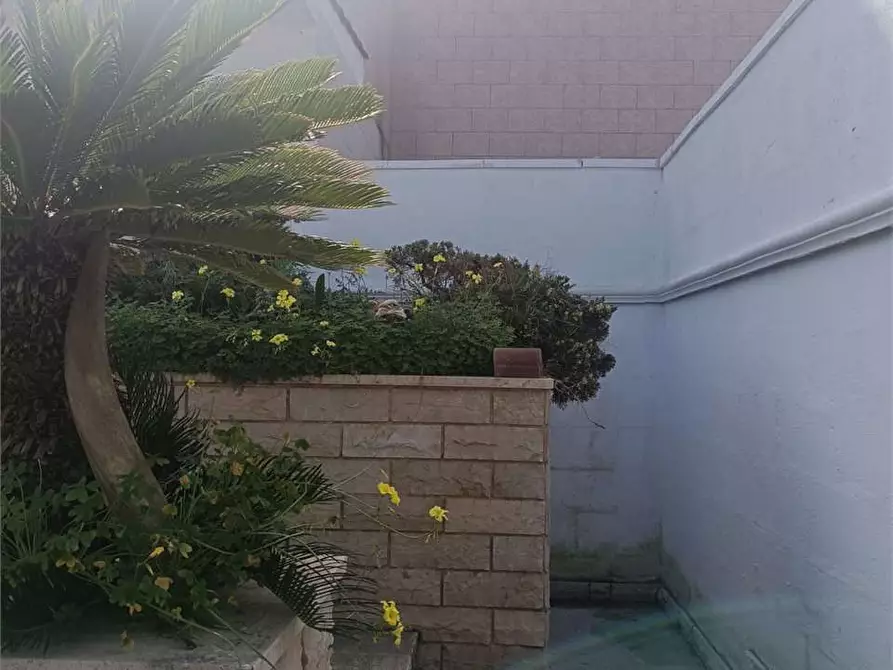 Immagine 43 di Trilocale in vendita  a Bitonto