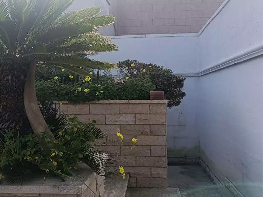 Immagine 44 di Trilocale in vendita  a Bitonto