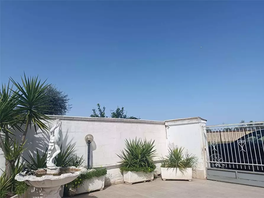 Immagine 47 di Trilocale in vendita  a Bitonto