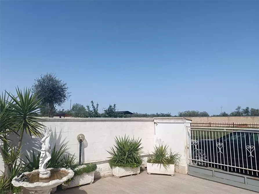 Immagine 48 di Trilocale in vendita  a Bitonto