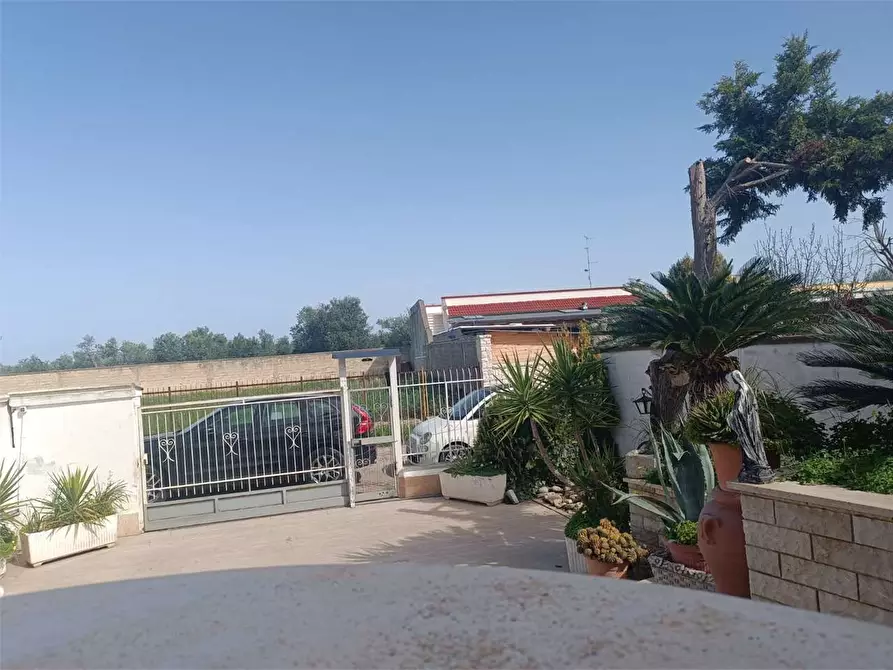 Immagine 50 di Trilocale in vendita  a Bitonto