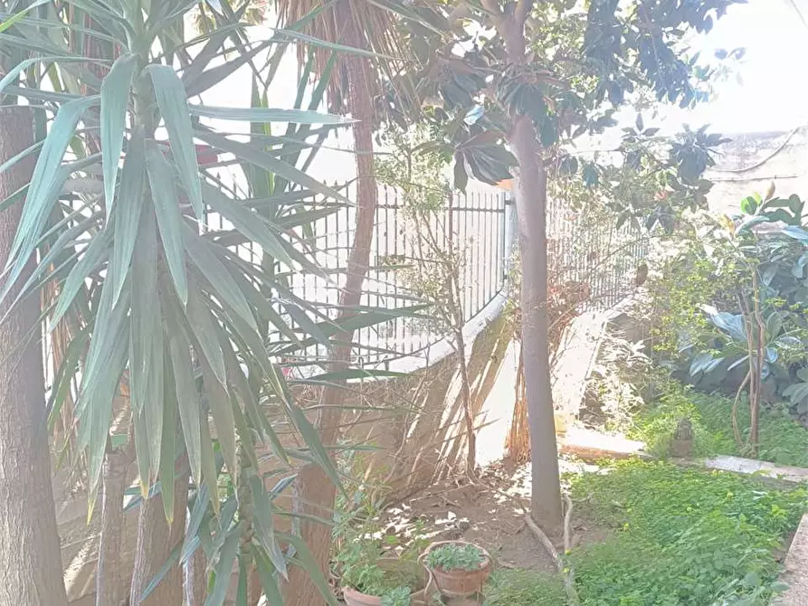 Immagine 20 di Appartamento in vendita  a Bitonto