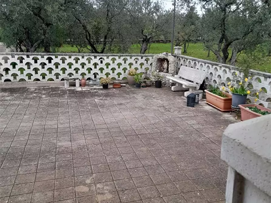 Immagine 14 di Villa in vendita  a Ruvo Di Puglia