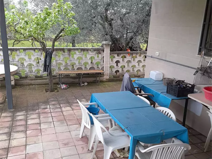Immagine 15 di Villa in vendita  a Ruvo Di Puglia