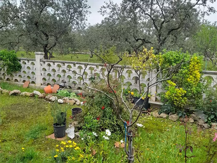 Immagine 16 di Villa in vendita  a Ruvo Di Puglia