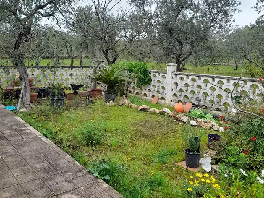Immagine 17 di Villa in vendita  a Ruvo Di Puglia