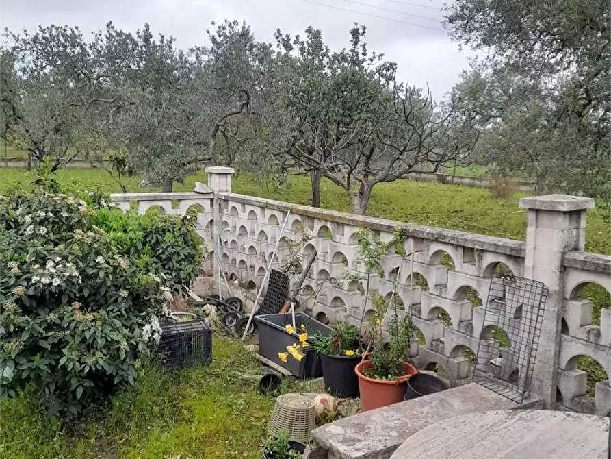 Immagine 18 di Villa in vendita  a Ruvo Di Puglia