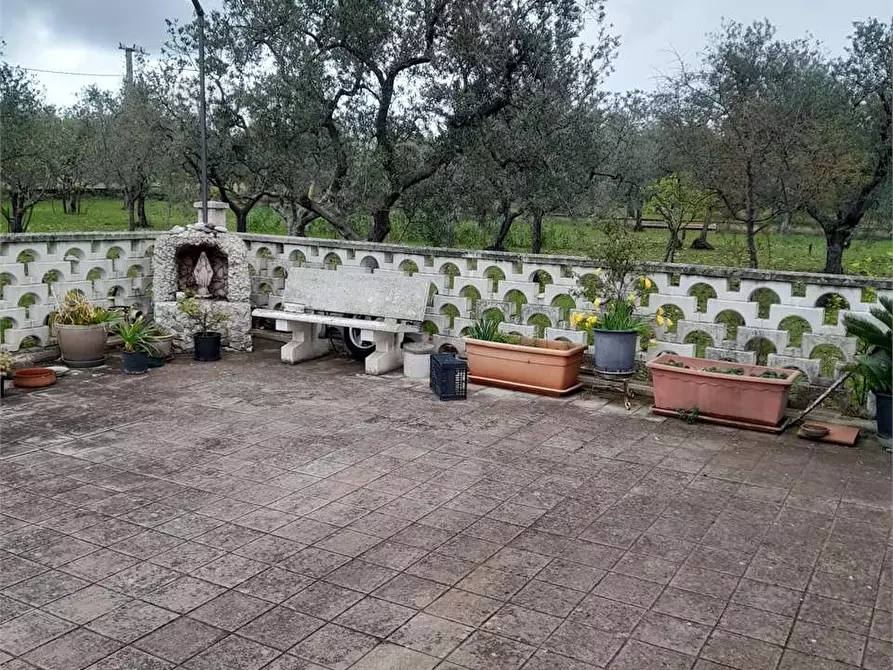 Immagine 20 di Villa in vendita  a Ruvo Di Puglia