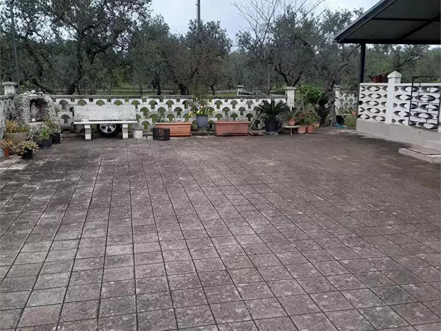 Immagine 21 di Villa in vendita  a Ruvo Di Puglia