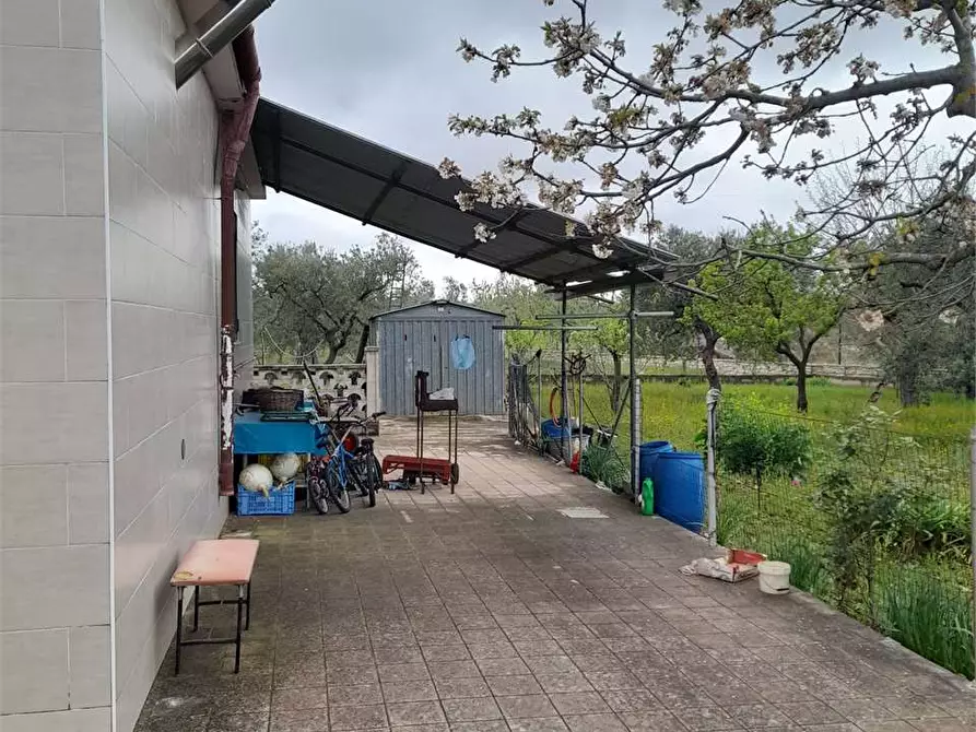 Immagine 23 di Villa in vendita  a Ruvo Di Puglia