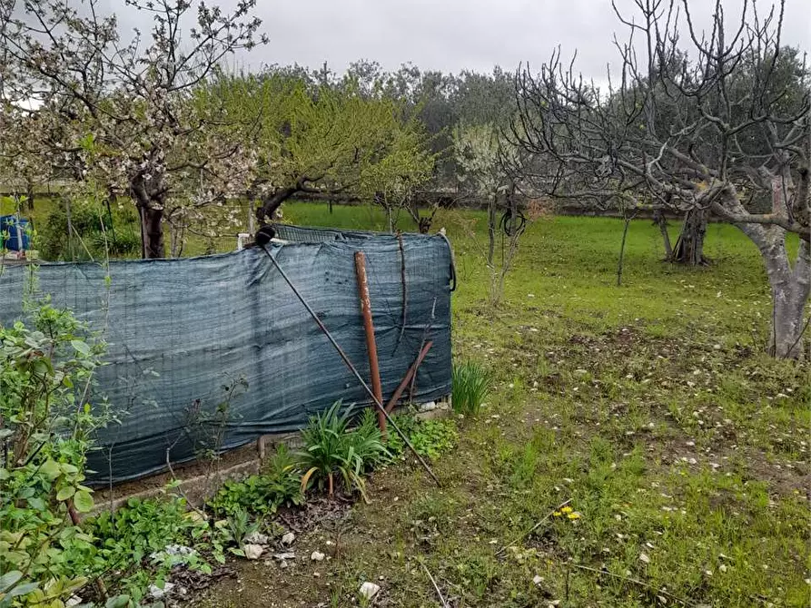 Immagine 25 di Villa in vendita  a Ruvo Di Puglia