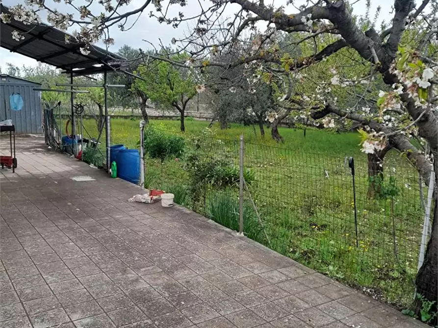 Immagine 26 di Villa in vendita  a Ruvo Di Puglia