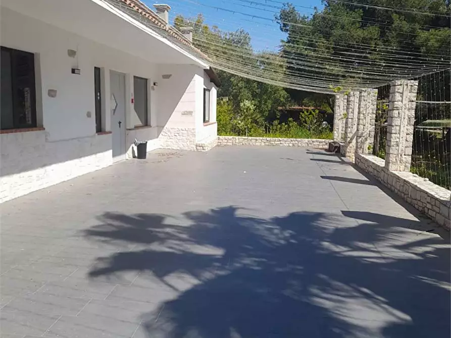 Immagine 3 di Casa indipendente in vendita  a Giovinazzo