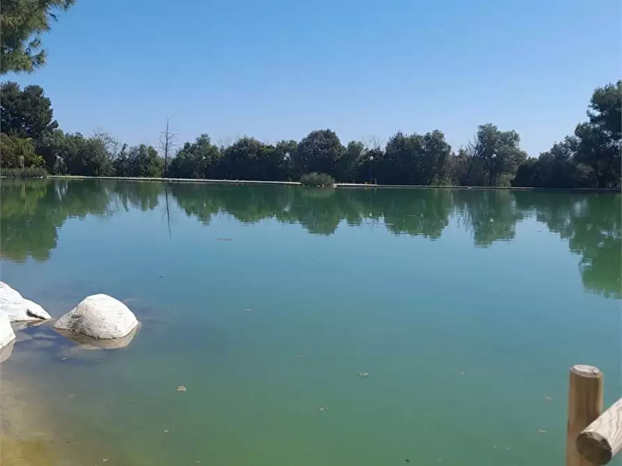 Immagine 4 di Casa indipendente in vendita  a Giovinazzo