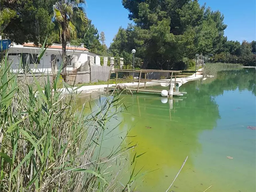 Immagine 5 di Casa indipendente in vendita  a Giovinazzo