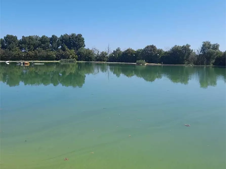 Immagine 7 di Casa indipendente in vendita  a Giovinazzo