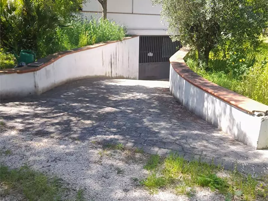 Immagine 14 di Casa indipendente in vendita  a Giovinazzo