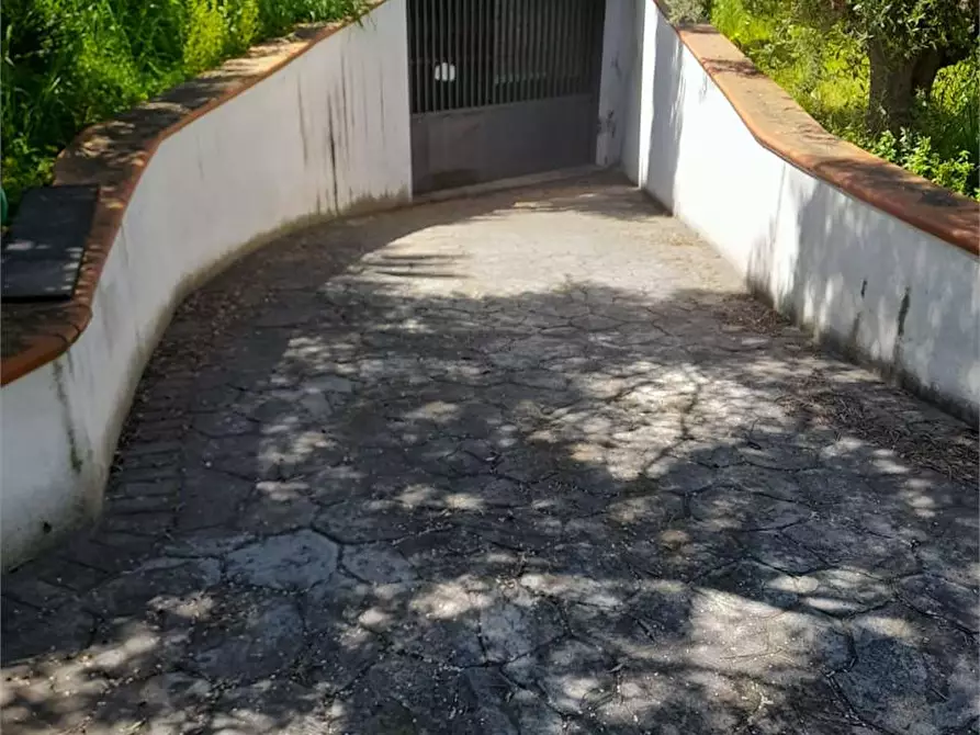 Immagine 15 di Casa indipendente in vendita  a Giovinazzo