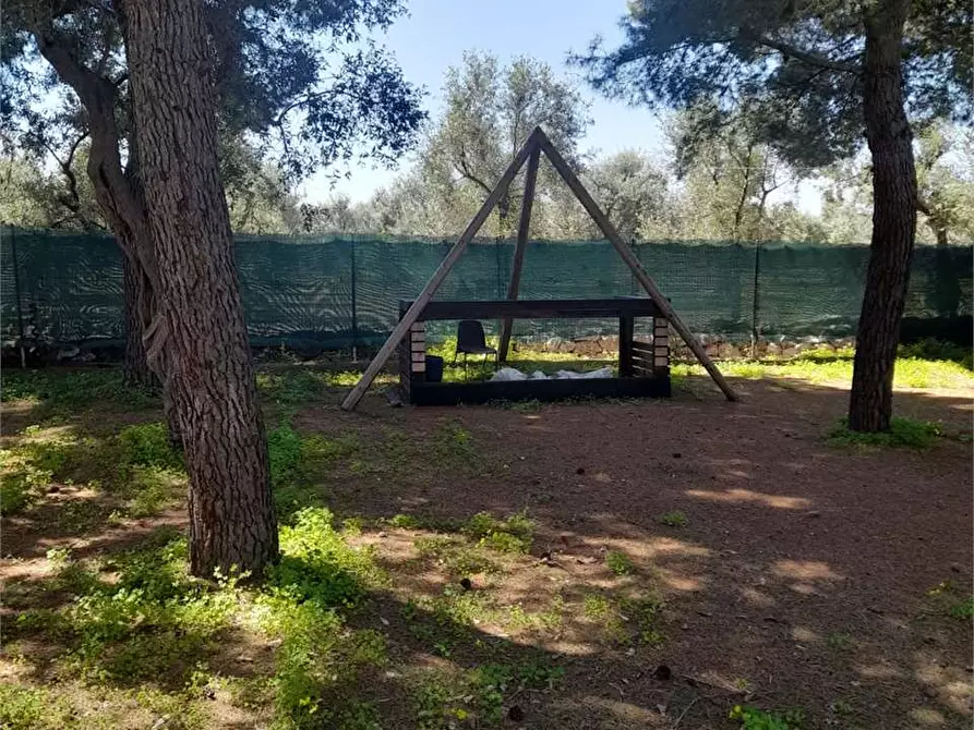 Immagine 33 di Casa indipendente in vendita  a Giovinazzo