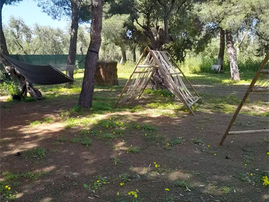 Immagine 34 di Casa indipendente in vendita  a Giovinazzo