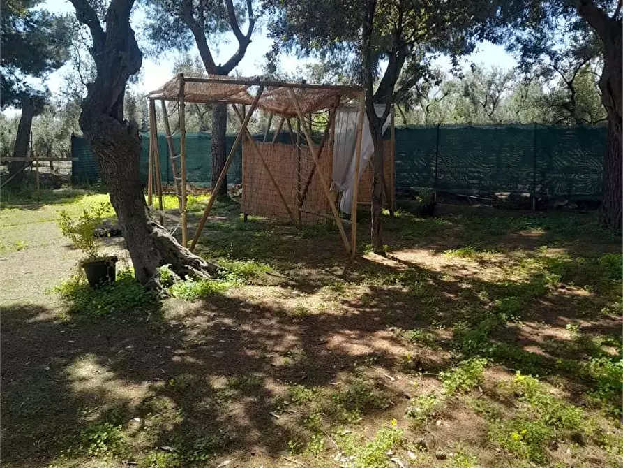 Immagine 36 di Casa indipendente in vendita  a Giovinazzo