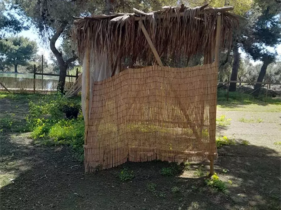 Immagine 38 di Casa indipendente in vendita  a Giovinazzo