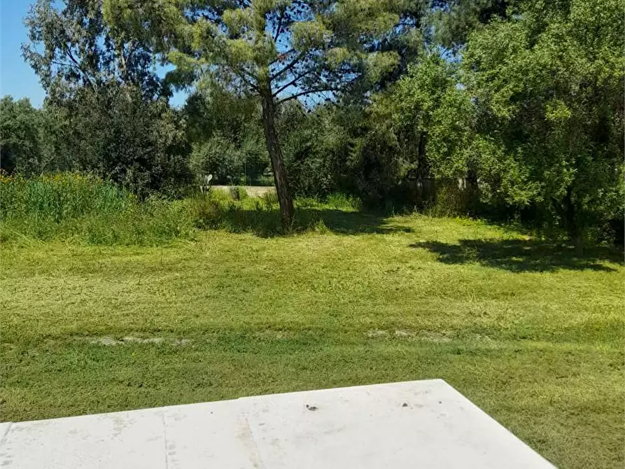 Immagine 41 di Casa indipendente in vendita  a Giovinazzo