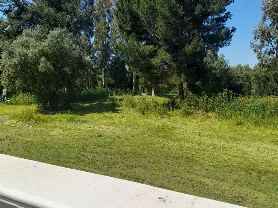 Immagine 42 di Casa indipendente in vendita  a Giovinazzo