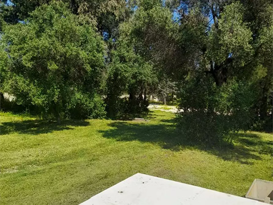 Immagine 44 di Casa indipendente in vendita  a Giovinazzo