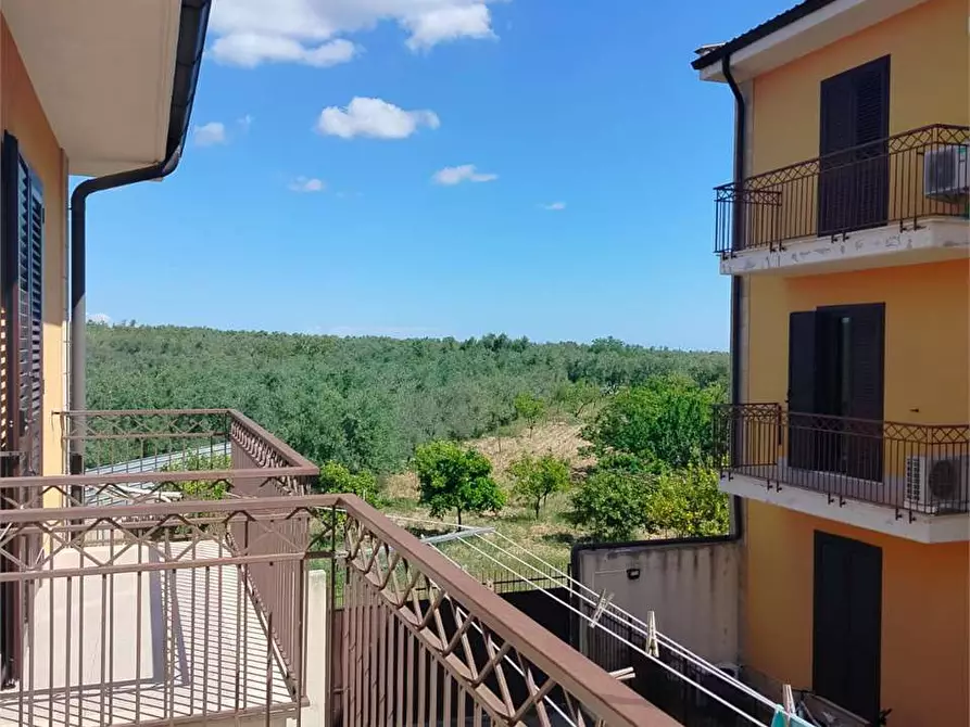 Immagine 3 di Appartamento in vendita  a Bitonto