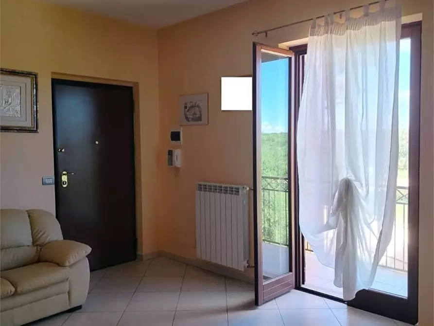 Immagine 11 di Appartamento in vendita  a Bitonto