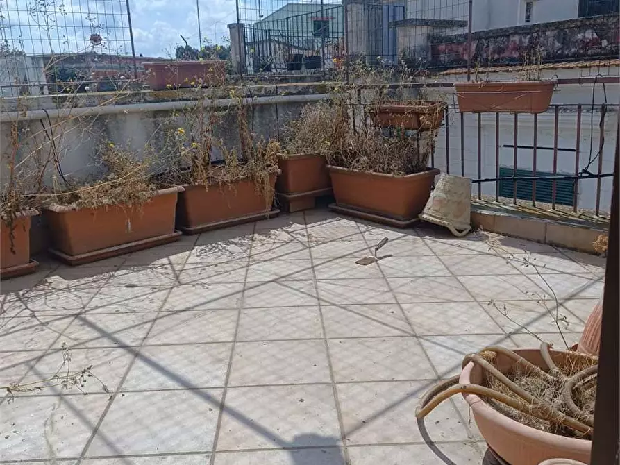 Immagine 23 di Appartamento in vendita  a Bitonto