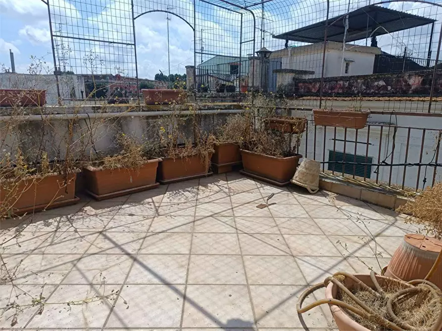 Immagine 25 di Appartamento in vendita  a Bitonto