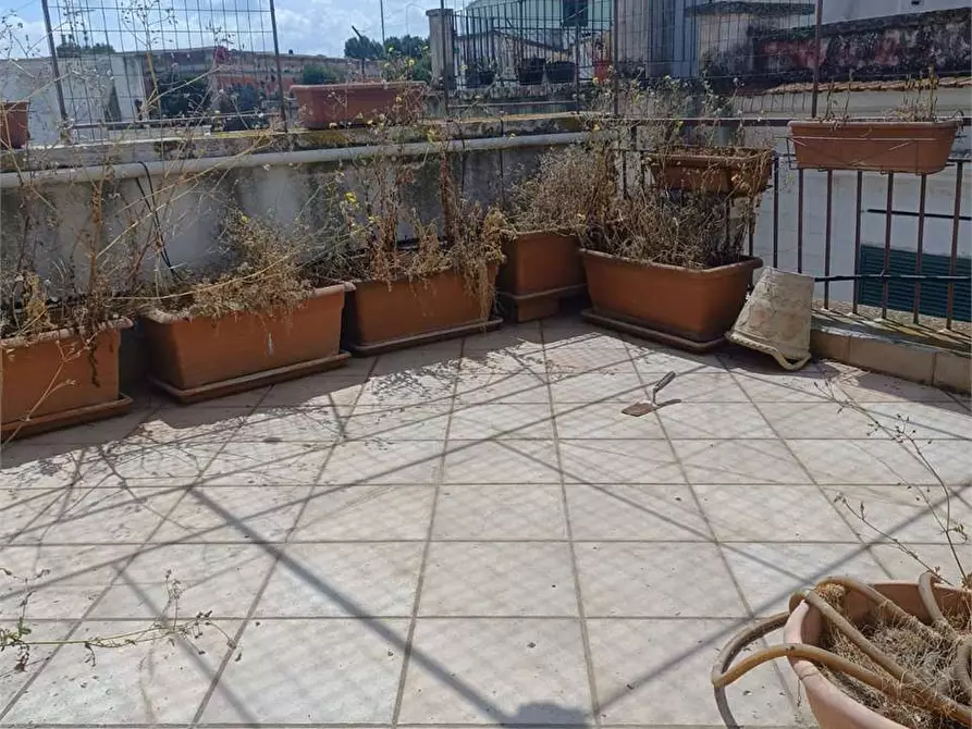 Immagine 26 di Appartamento in vendita  a Bitonto