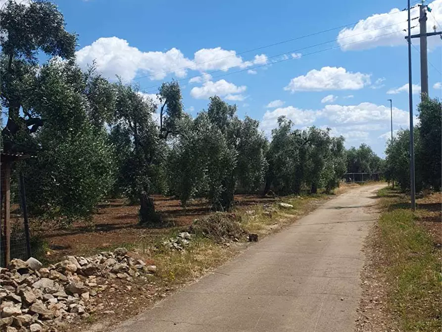 Immagine 1 di Terreno edificabile in vendita  a Bitonto