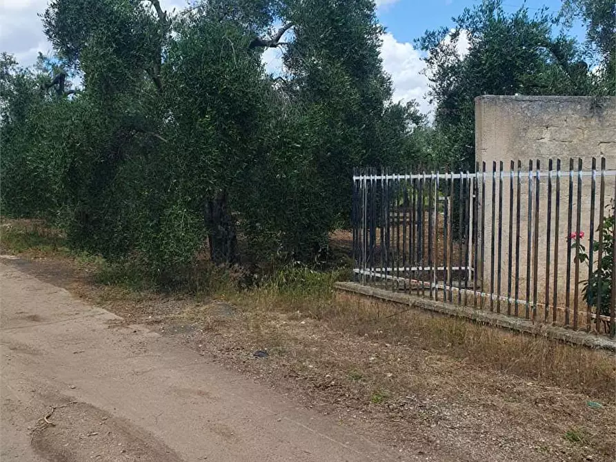 Immagine 6 di Terreno edificabile in vendita  a Bitonto