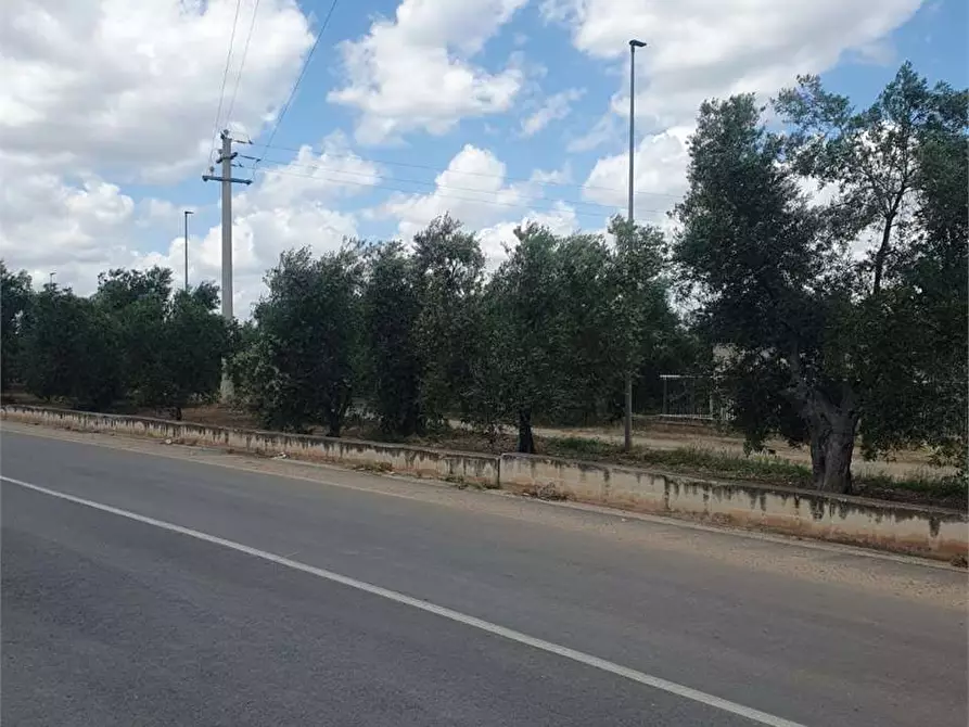 Immagine 7 di Terreno edificabile in vendita  a Bitonto