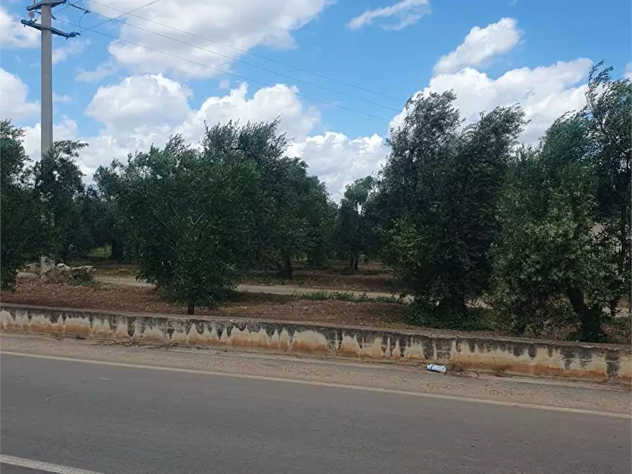 Immagine 8 di Terreno edificabile in vendita  a Bitonto