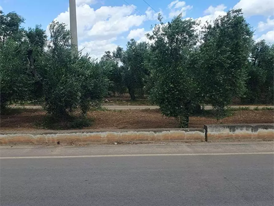 Immagine 9 di Terreno edificabile in vendita  a Bitonto