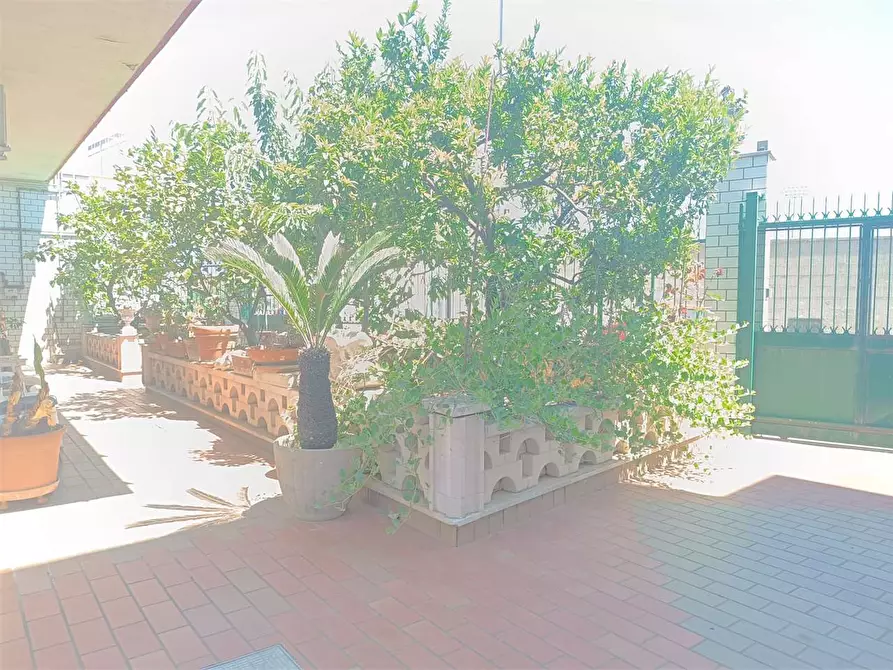 Immagine 56 di Villa in vendita  a Bitonto