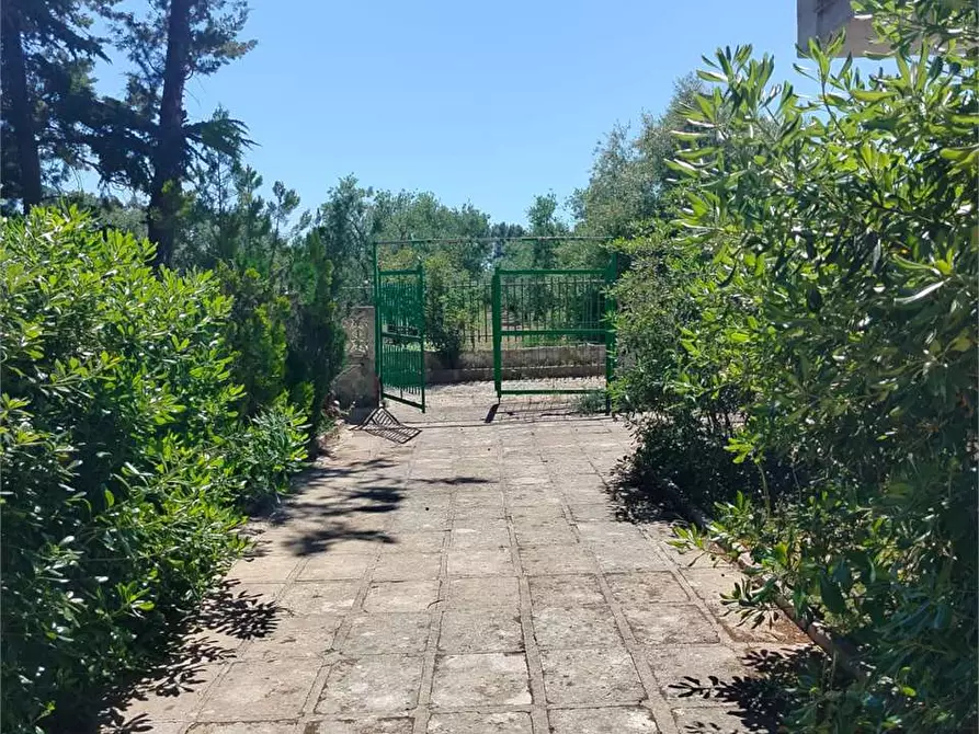 Immagine 6 di Villa in vendita  a Bitonto