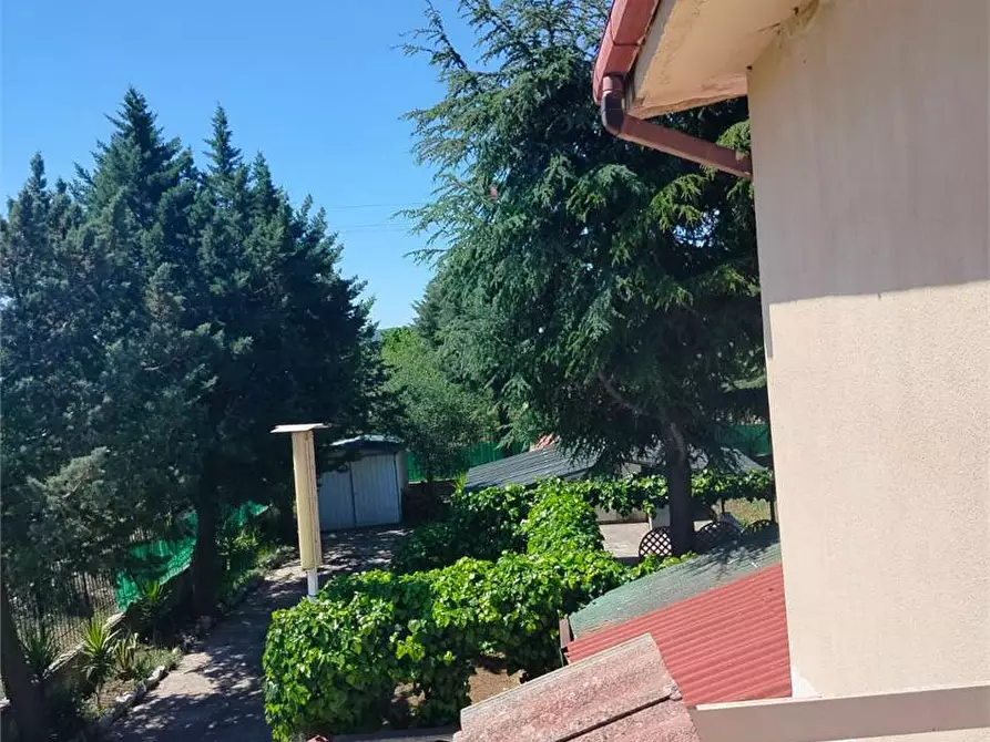 Immagine 2 di Villa in vendita  a Bitonto